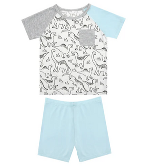 Boy Short Sleeve Contrast color T-shirt with Pants Set