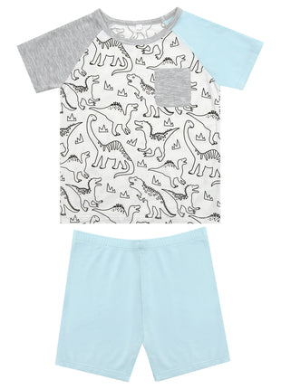 Boy Short Sleeve Contrast color T-shirt with Pants Set